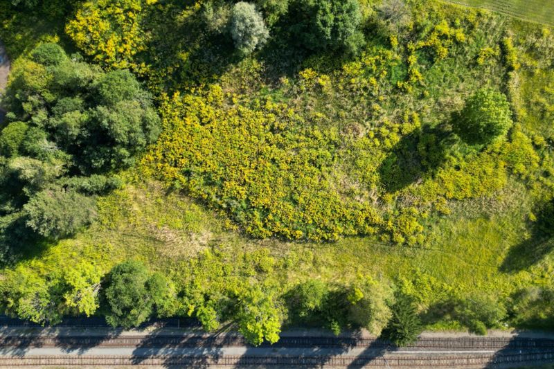 GEWERBEGRUND | ca. 13.369 m2 für Ihre Betriebsansieldung im Rosental