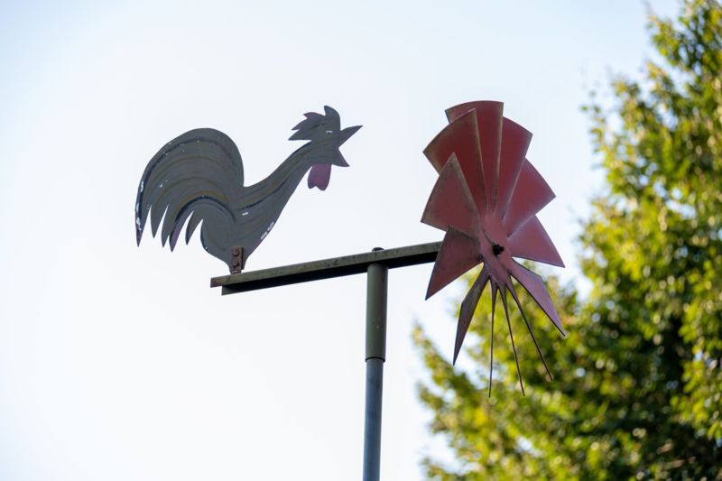 FAMILIENGLÜCK unter PINIEN | Gewidmetes Baugrundstück im Zentrum von Velden am Wörthersee